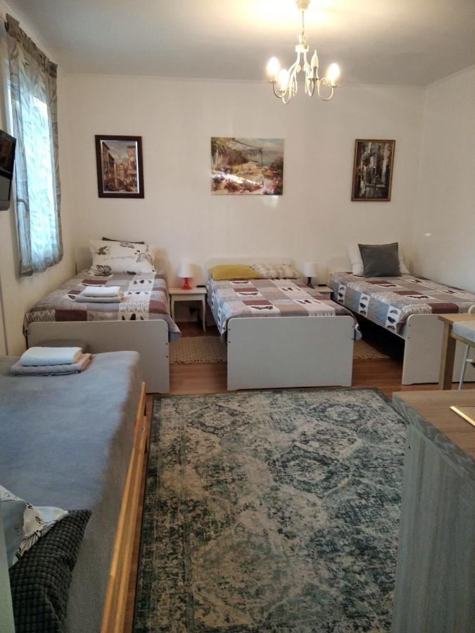 Eco-Lux Apart With Free Bicycles End Free Parking Lublana Zewnętrze zdjęcie