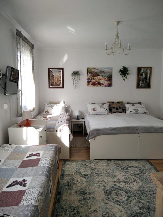 Eco-Lux Apart With Free Bicycles End Free Parking Lublana Zewnętrze zdjęcie