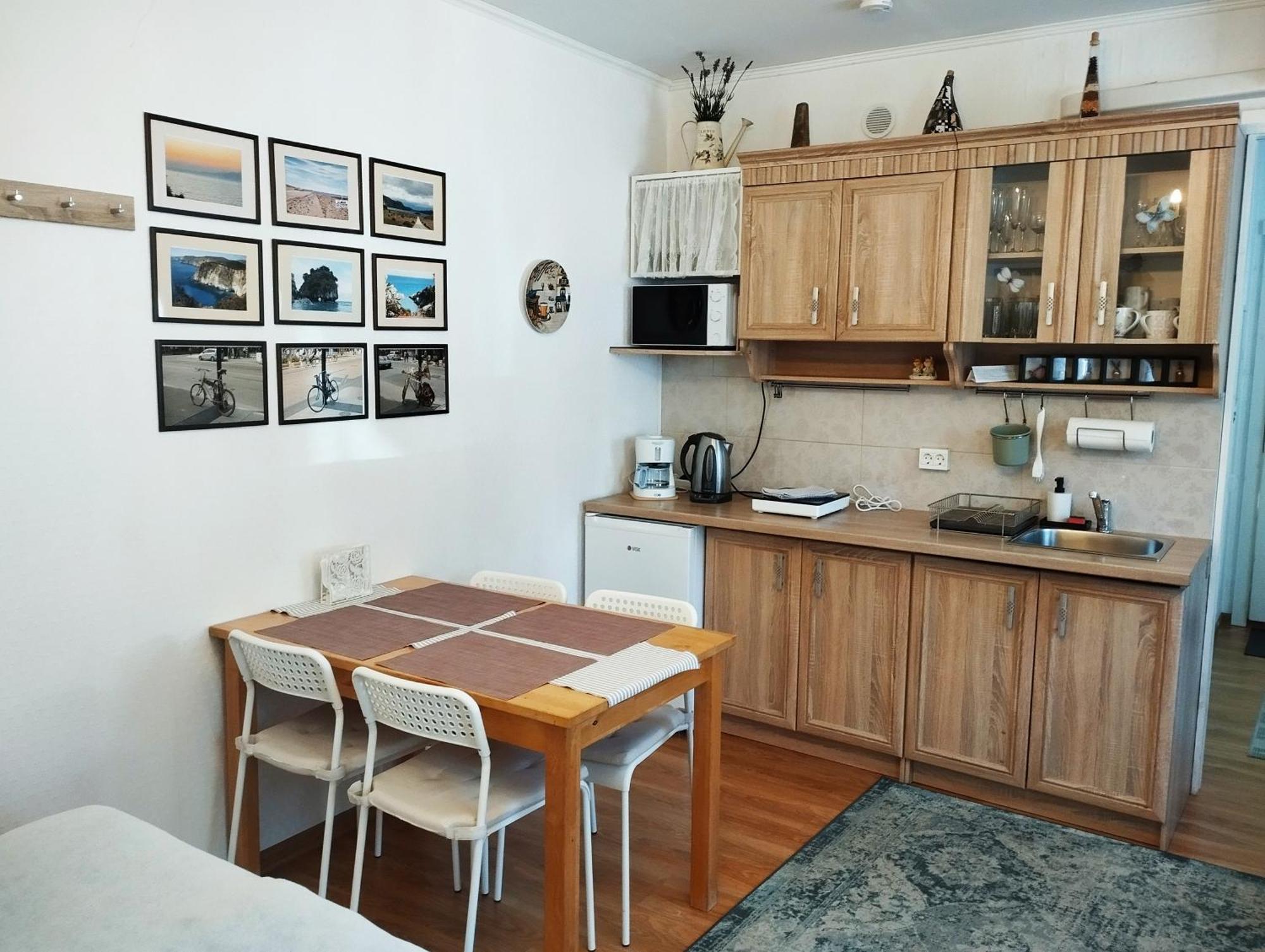 Eco-Lux Apart With Free Bicycles End Free Parking Lublana Zewnętrze zdjęcie