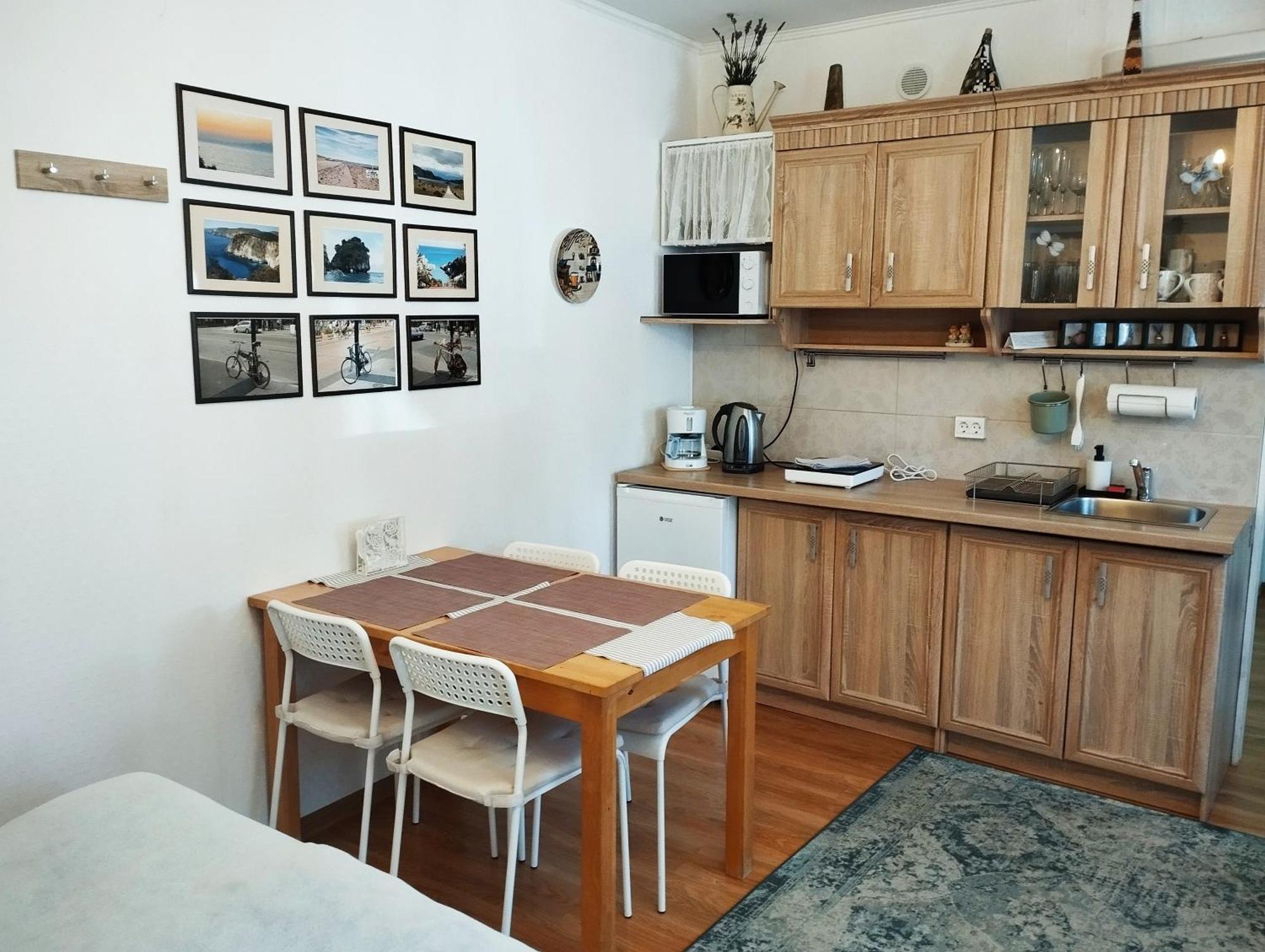 Eco-Lux Apart With Free Bicycles End Free Parking Lublana Zewnętrze zdjęcie
